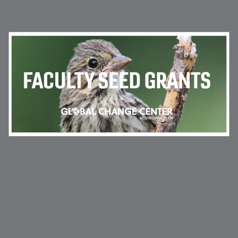 Apply Now: Global Change Center & ISCE Seed Grants  